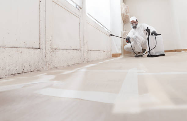 24/7 Emergency Black Mold Remediation experts in Winchester, IL