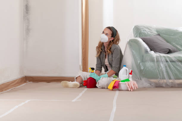 Reliable Black Mold Remediation contractor in Winchester, IL by Mold Remediation HQ